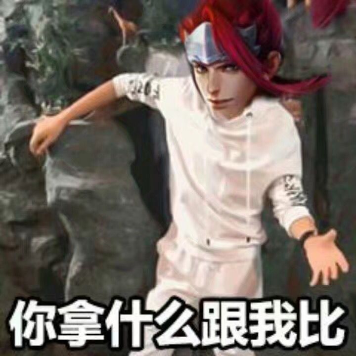 「狸子」王者荣耀表情包 韩信 二传标注狸子