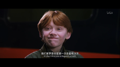 堆糖