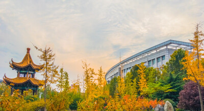 济南大学