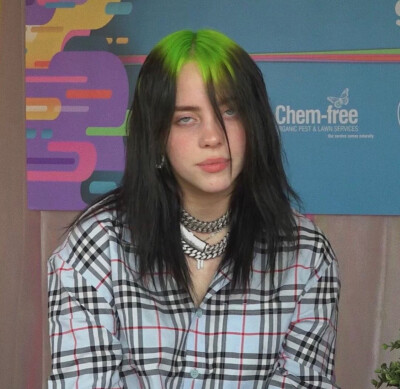 碧梨的图片也就是picture of billie eilish