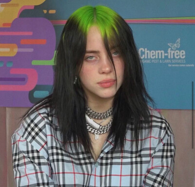 碧梨的图片也就是picture of billie eilish