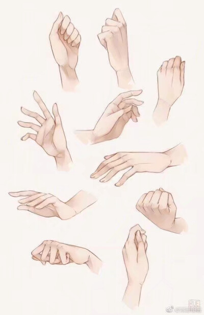 手型素材