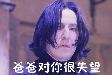 哈利波特表情包