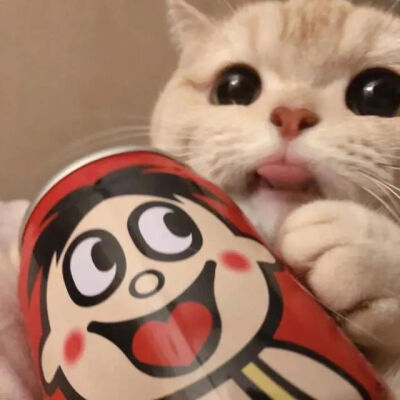 猫咪 情头