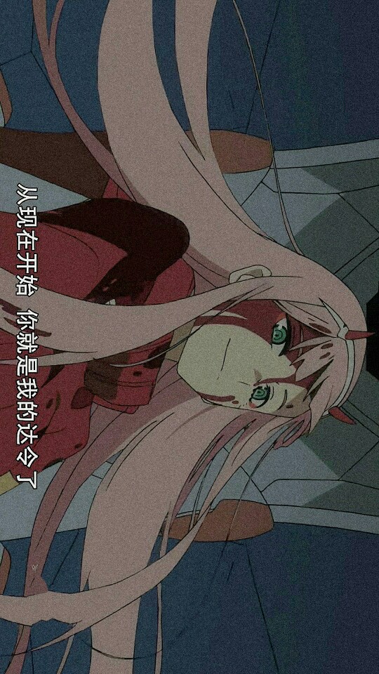 壁纸.国家队