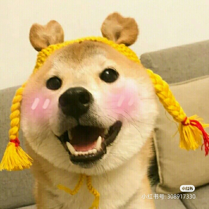 沙雕头像
