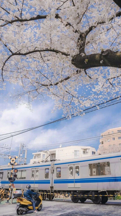 日系小哥哥壁纸