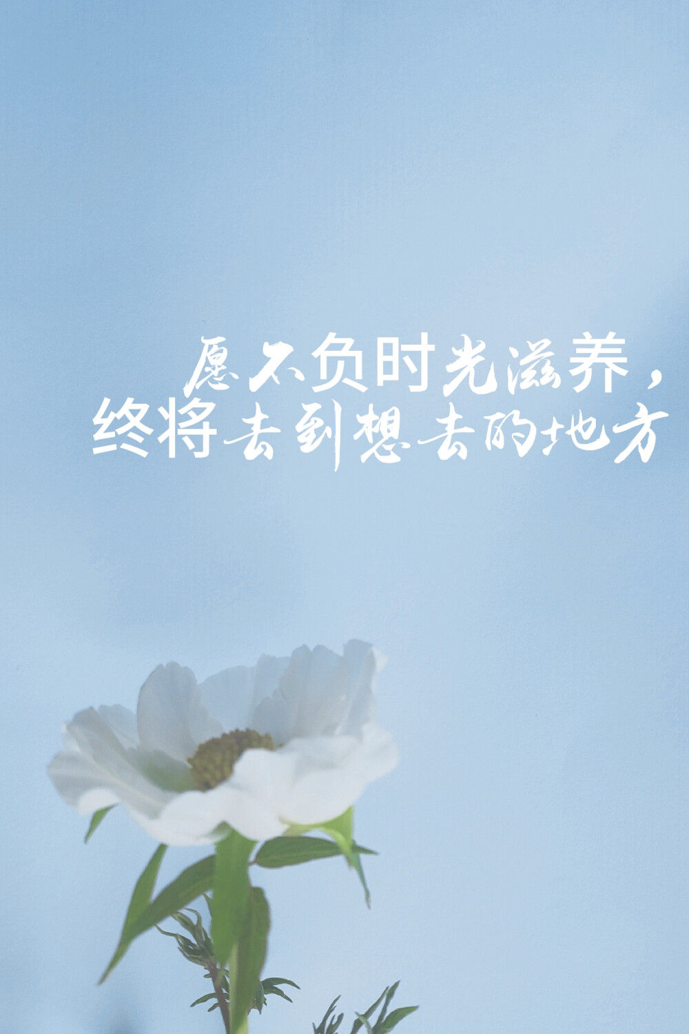 用你的微笑改变世界,不要让世界改变你的微笑.