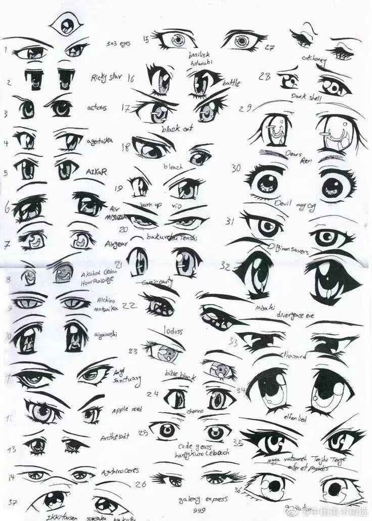 各种类型的眼睛噢