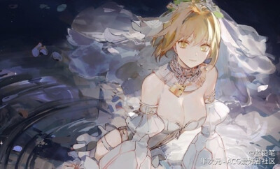 【33】fsn/fgo/fz/fa 花嫁尼禄