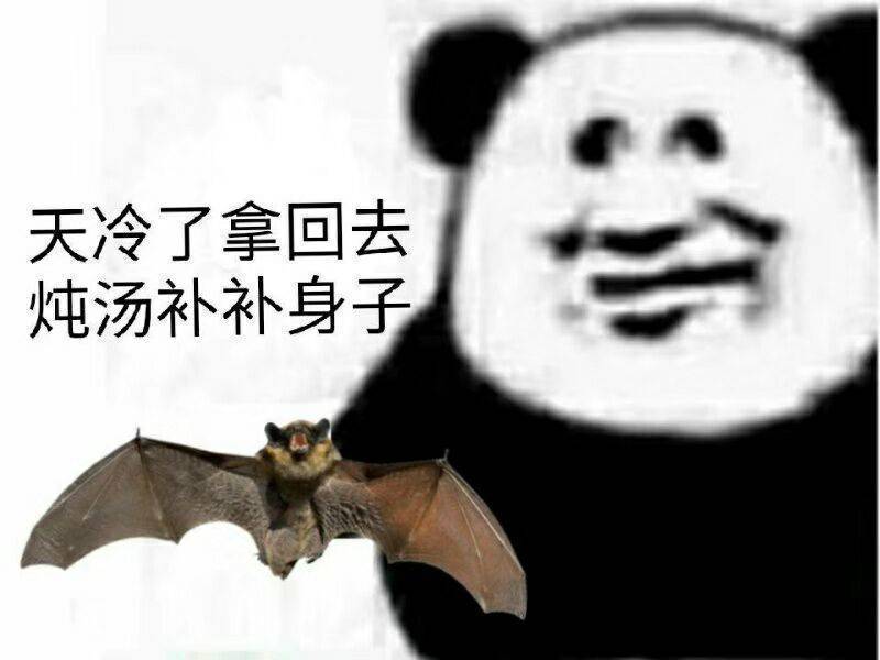 蝙蝠表情