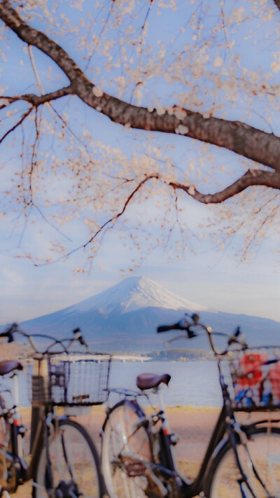 小清新壁纸(背景图 壁纸 高清 无印 简约 锁屏 富士山 樱花)