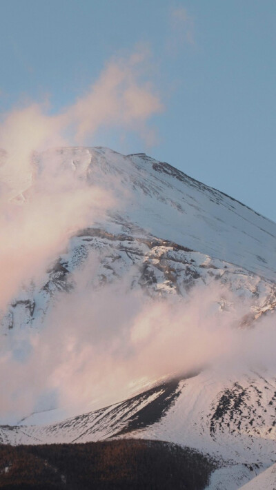 小清新壁纸(背景图 壁纸 高清 无印 简约 锁屏 富士山 樱花)