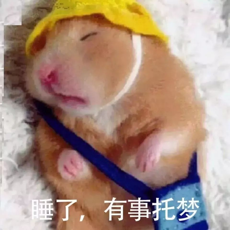 沙雕表情包嗷 - 堆糖,美图壁纸兴趣社区