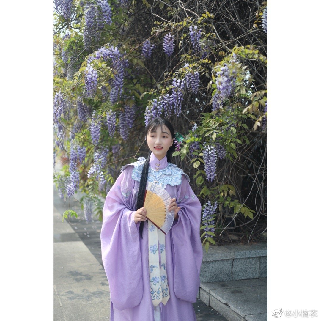 春山集# 四月未至 紫藤已开汉服搭配:秋和长衫/蝶影云肩/白色跳崖兔