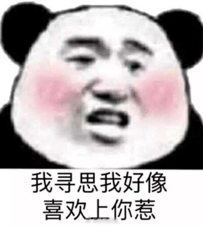 表情包试图撒娇