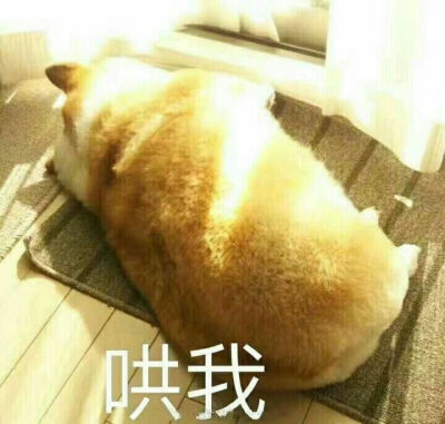 情侣撩汉可爱沙雕撒娇表情包