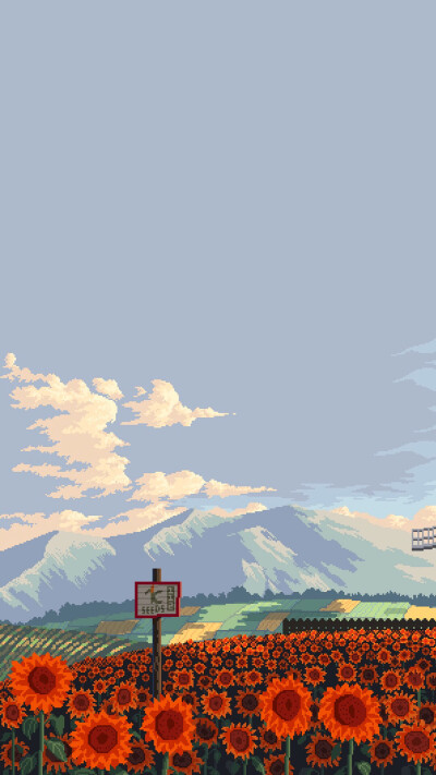 手机背景,壁纸,竖屏