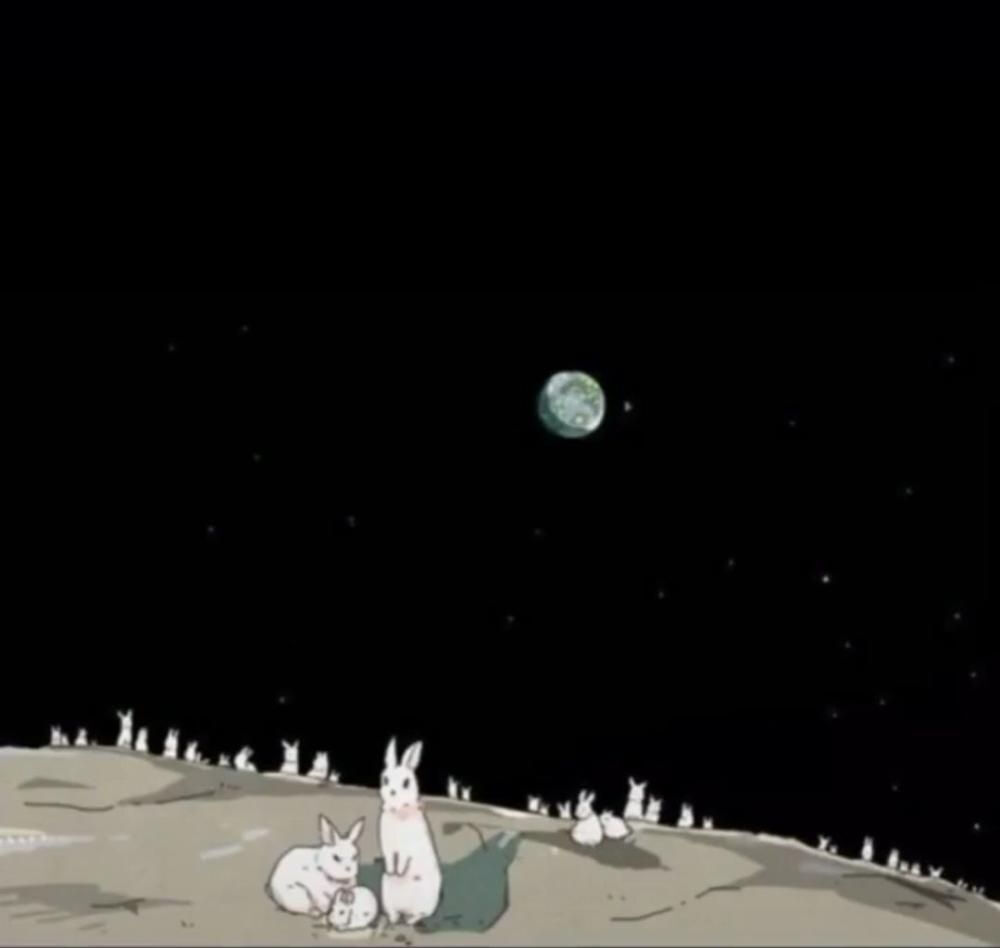 月亮/兔子