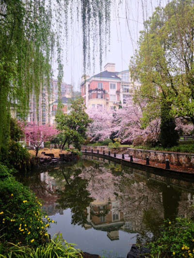 小区美景