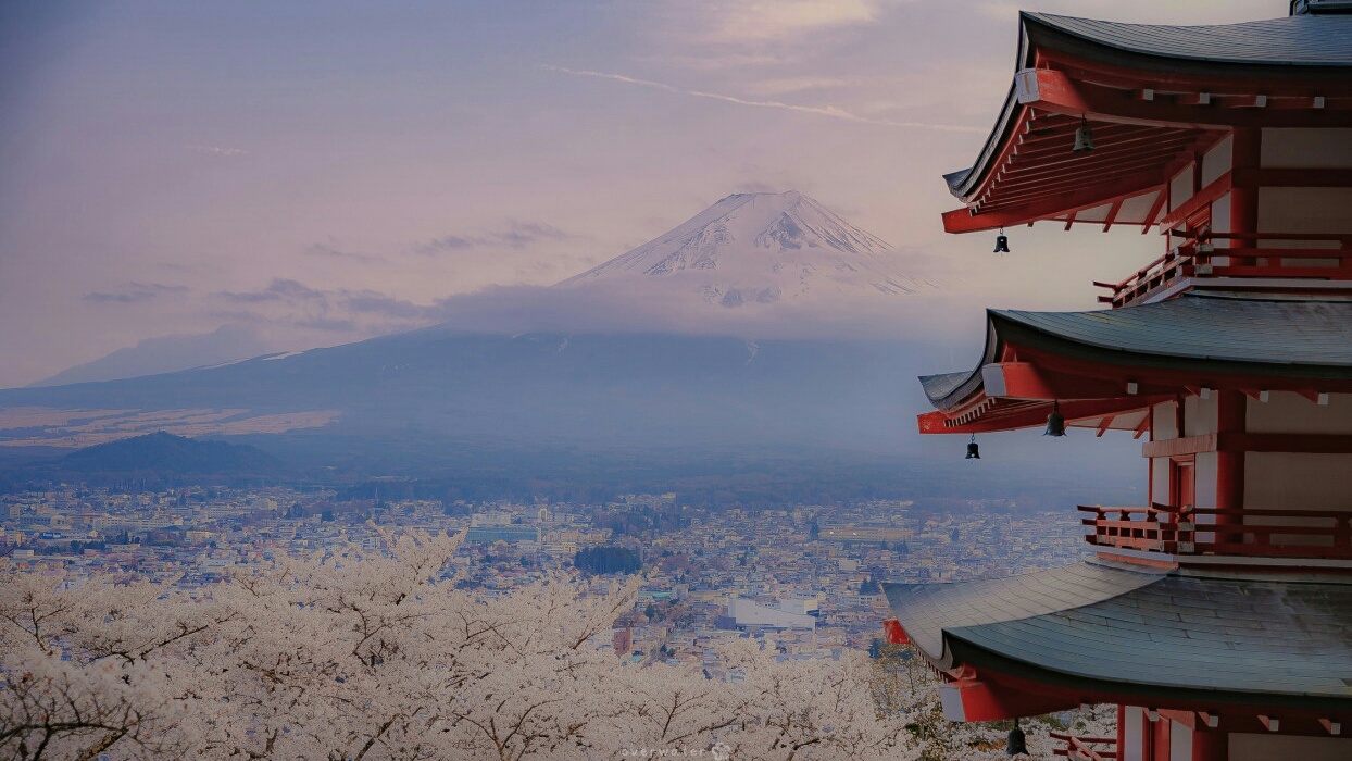 日本 电脑壁纸樱花,富士山(ˊˋ*)