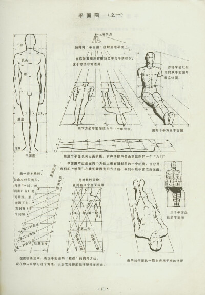 人物素描 人体比例 骨骼 肌肉 速写