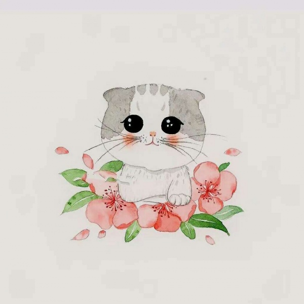 猫咪插画,超可爱,手绘