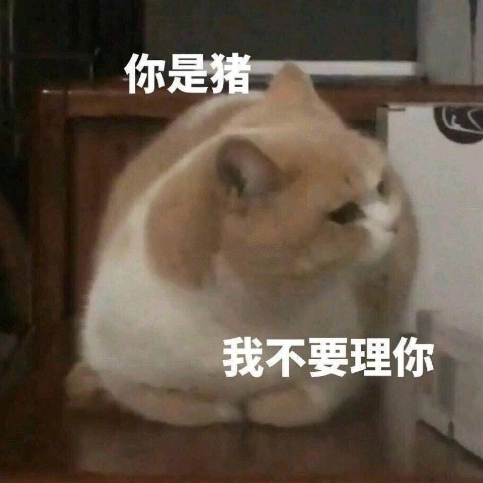 搞笑表情包 - 堆糖,美图壁纸兴趣社区