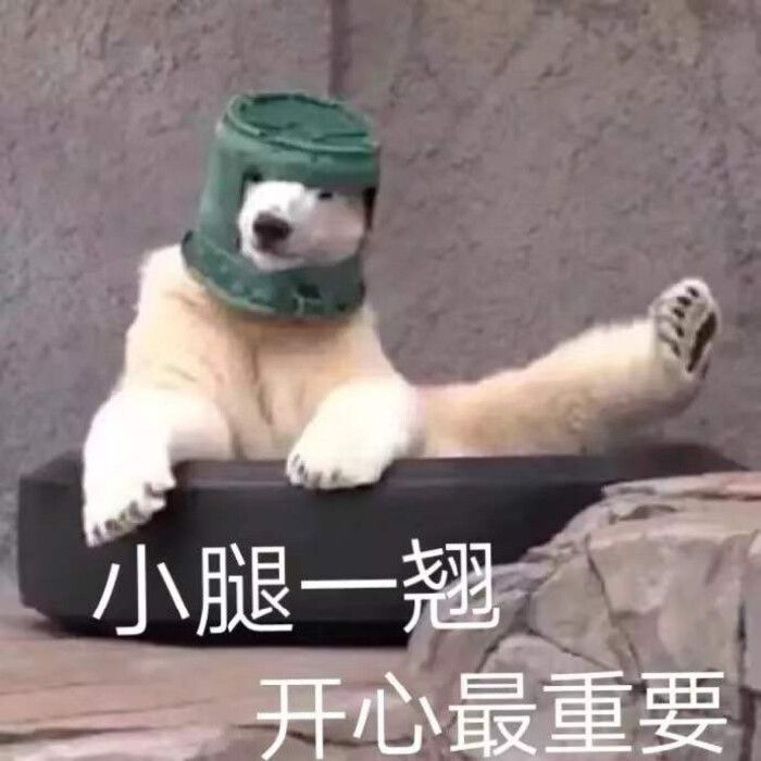搞笑表情包 - 堆糖,美图壁纸兴趣社区