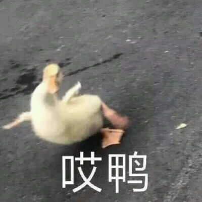心烦搞笑表情包
