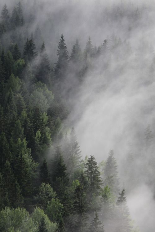 山色空蒙雨亦奇