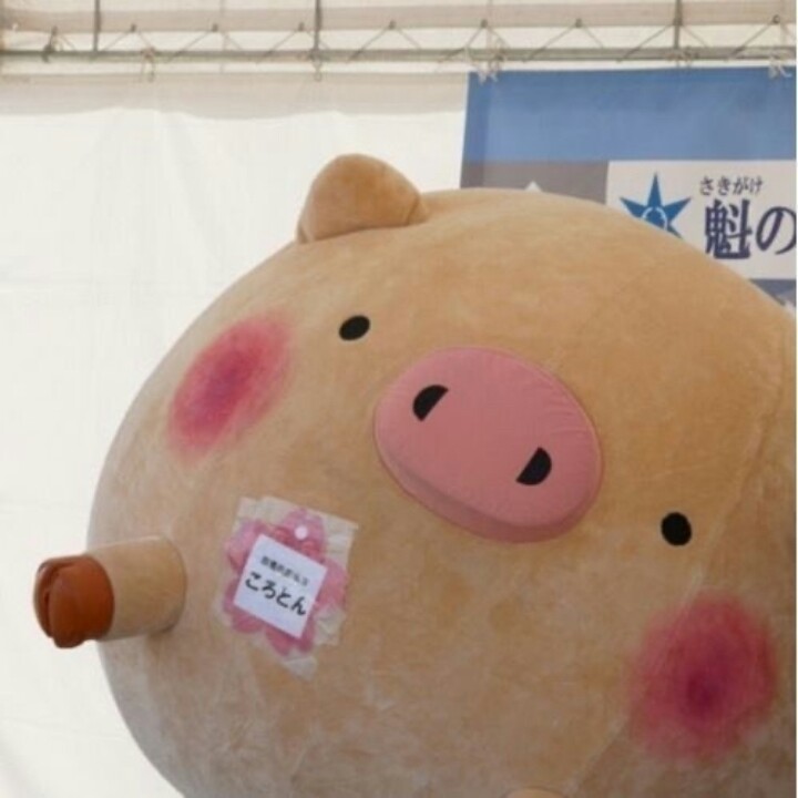 源vb头像巨丑