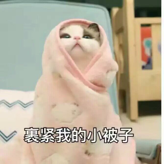 可爱猫咪表情包(ˊˋ*)