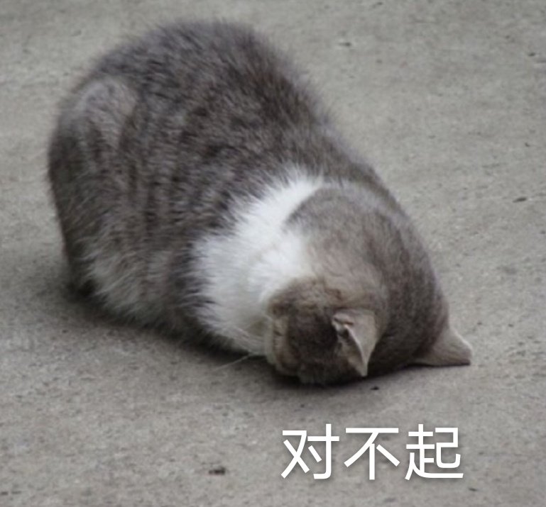 猫咪表情包