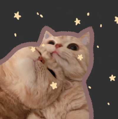 橘猫头像