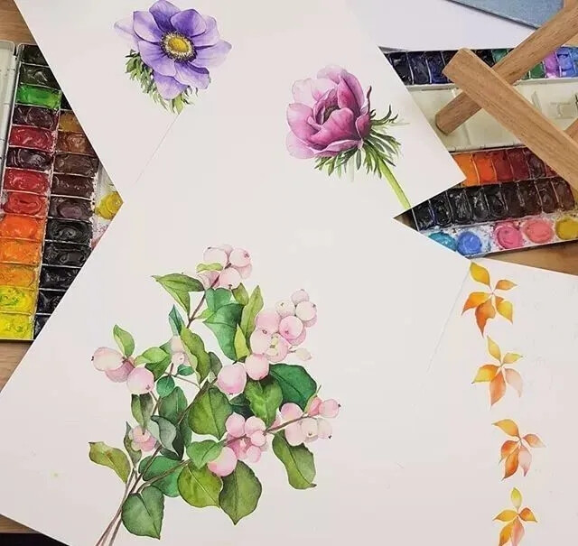 水彩|花卉树叶临摹