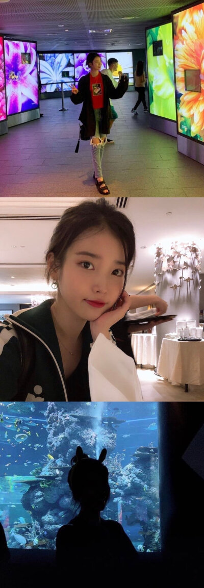 iu 李憨憨