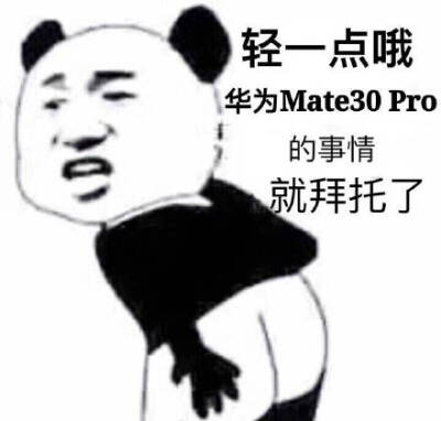 轻一点哦,华为mate30pro的事情就拜托了(熊猫人表情包)