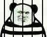 监狱犯(熊猫人)
