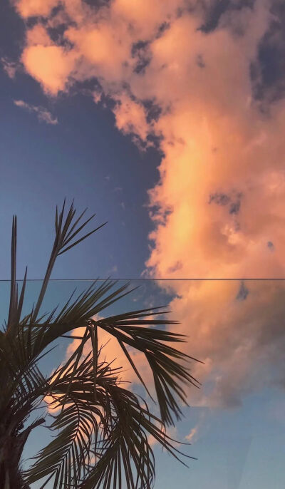 壁纸暖色调