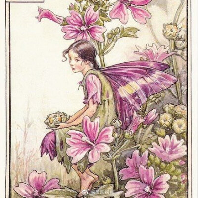 奇妙仙子小叮当插画