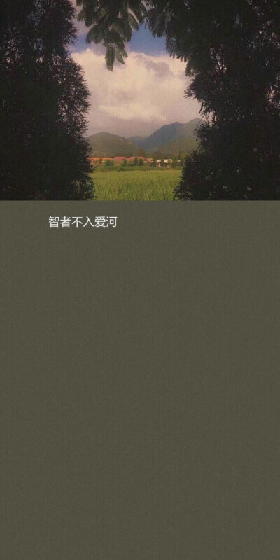 壁纸/背景图/ins冷淡风/文字壁纸原来是文文噢