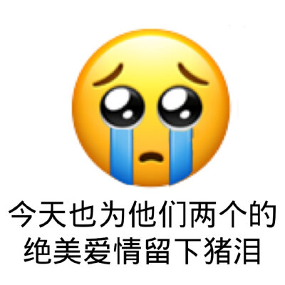 嗑cp表情包