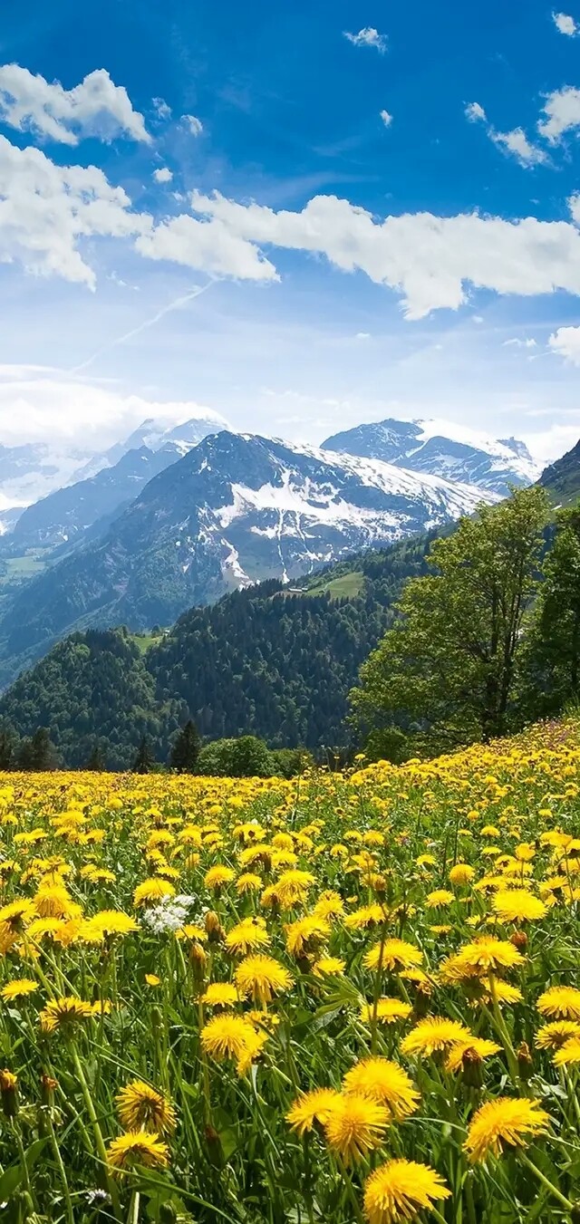 风景壁纸