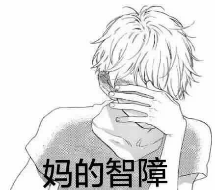 妈的智障(捂脸)