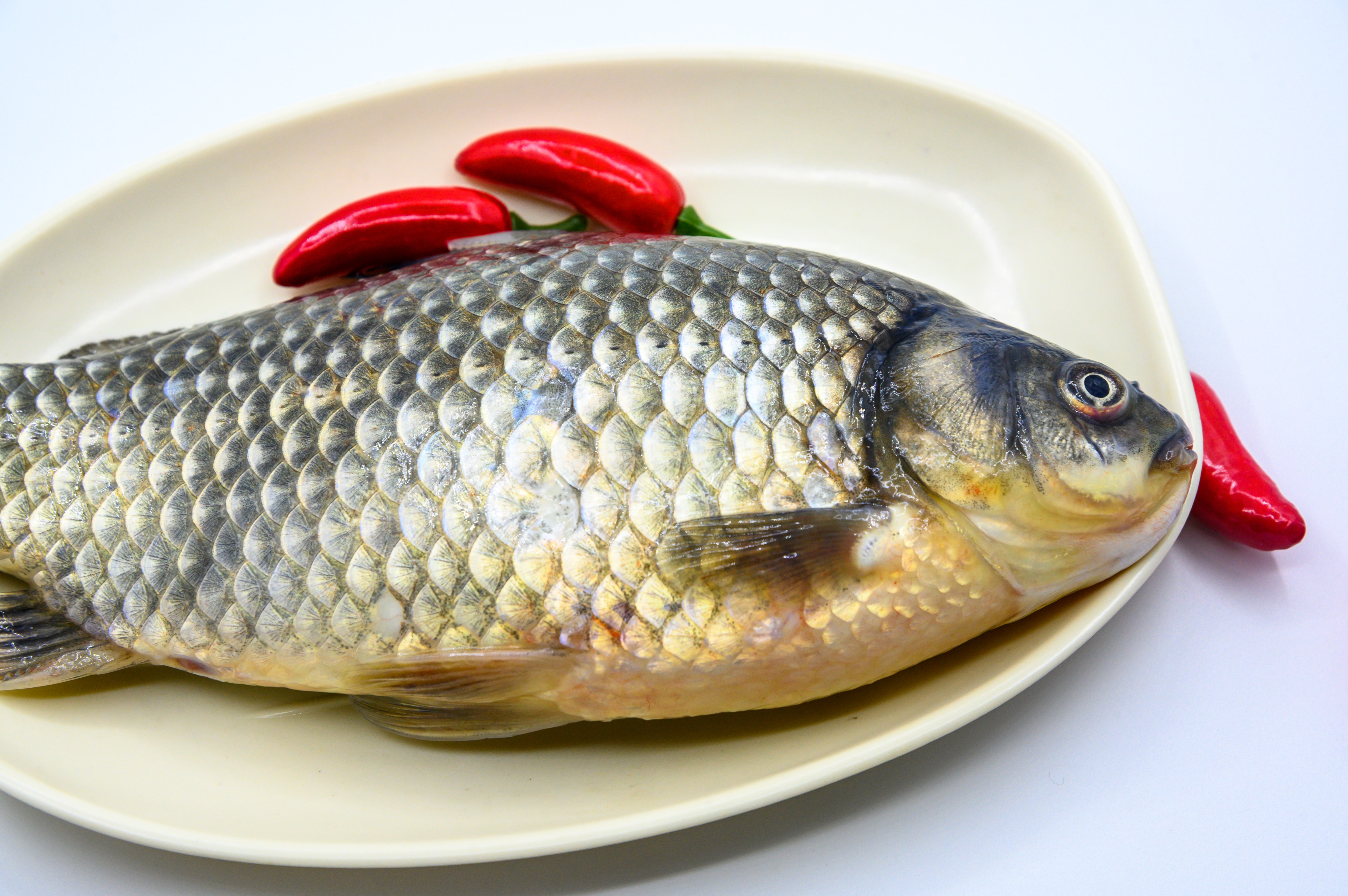 光鱼 海鱼 新鲜 动物 海洋动物 室内 食材 食物 待加工 烹饪 野生鱼