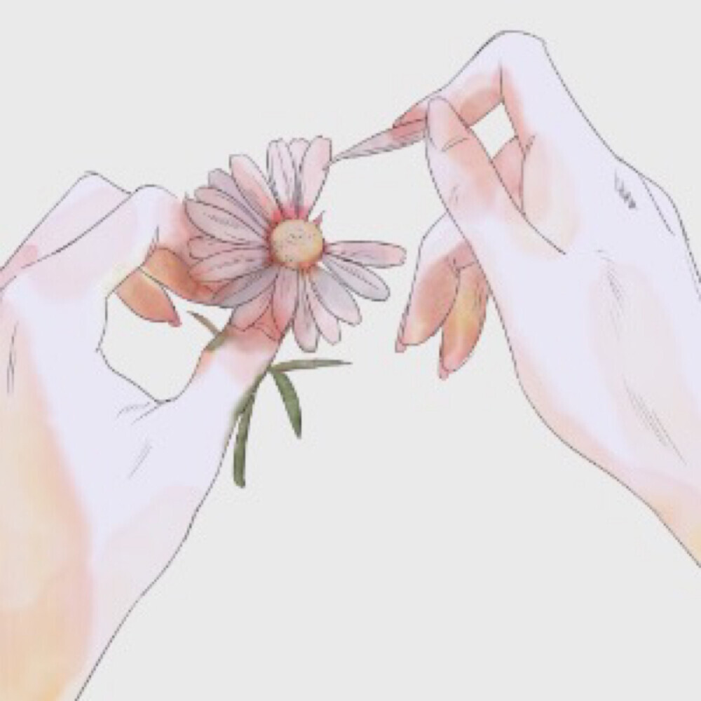 手/动漫
