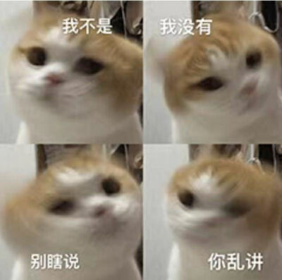 沙雕‖表情包‖怼‖搞笑‖哈哈哈‖快乐‖聊天必备‖斗图‖套图‖高糊