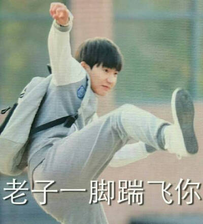 表情包踹不到
