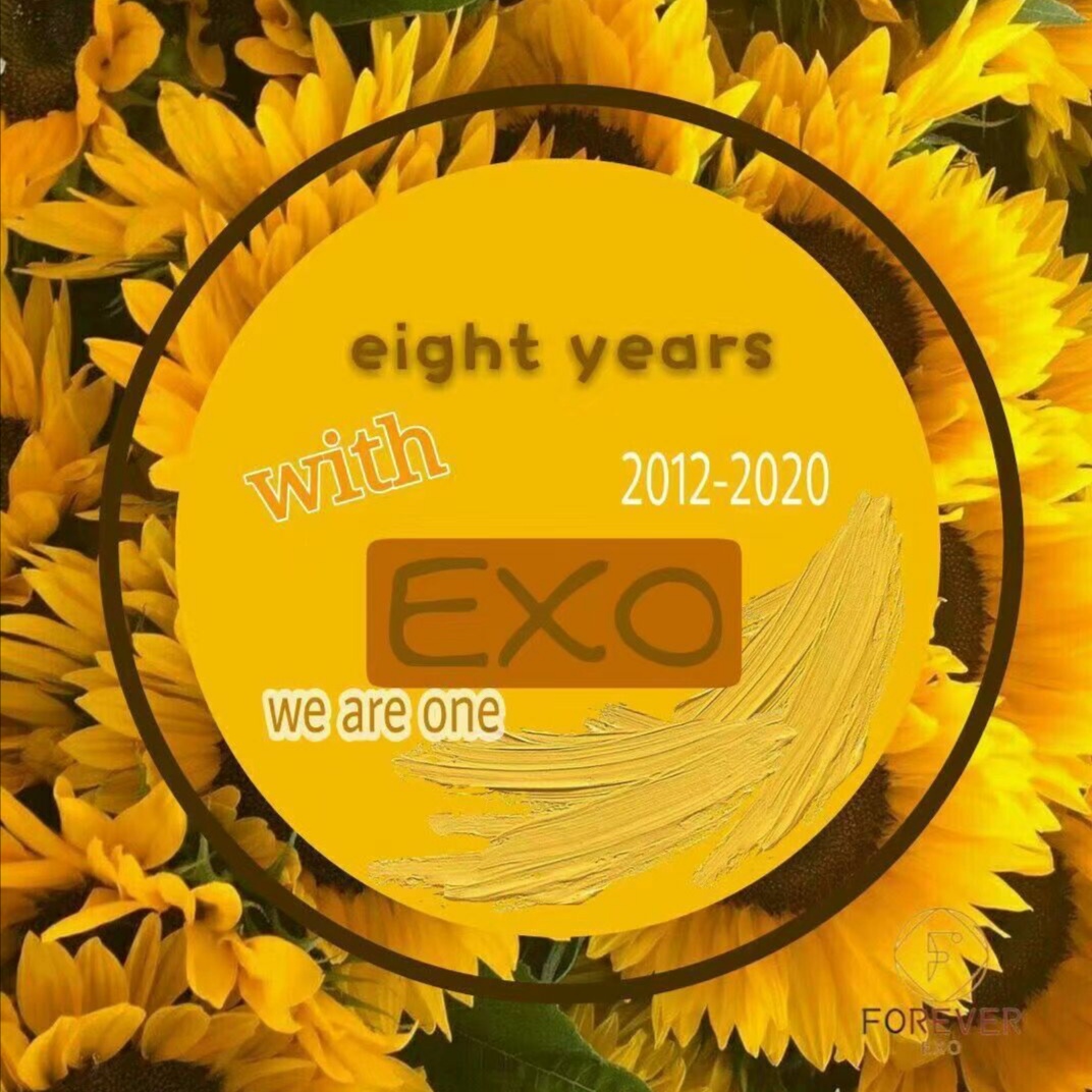 exo八周年应援头像